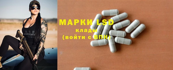 меф Вяземский